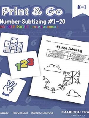 Print & Go-Numbers #1-20 Subtizing -Color By Number printable-No Prep Packet-Kindergarten 1st Grade