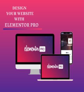 Elementor PRO WordPress Page Builder