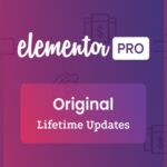 Elementor Pro