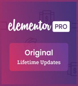 Elementor Pro