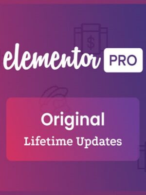 Elementor Pro